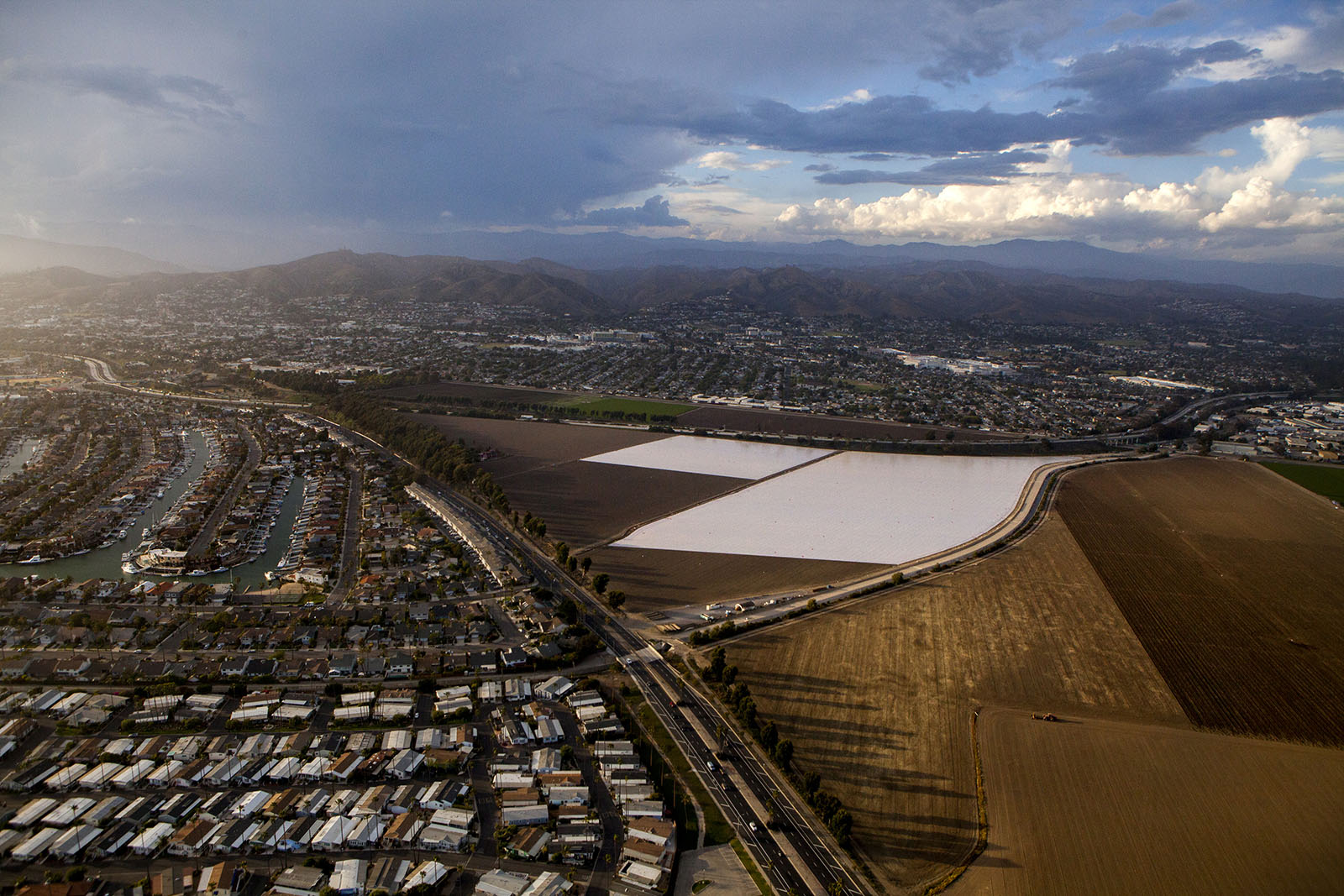 strawberries - ventura co. overview