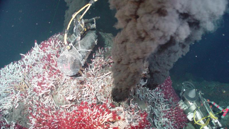 Sully hydrothermal vent 